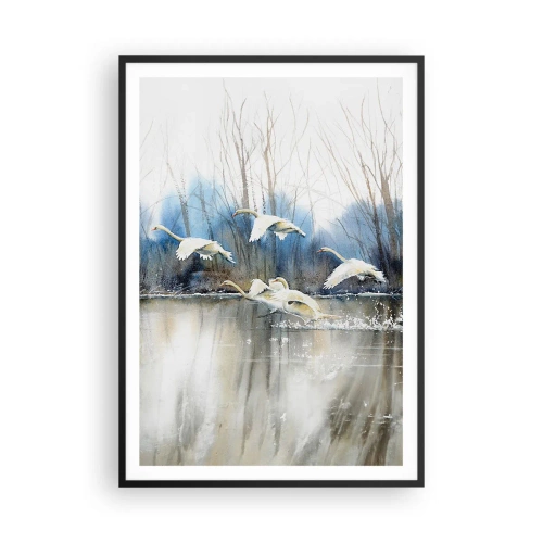 Plakát v černém rámu - Jako v povídce o divokých labutích - 70x100 cm