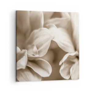 Obraz na plátně - Něžné jako úsměv - 60x60 cm
