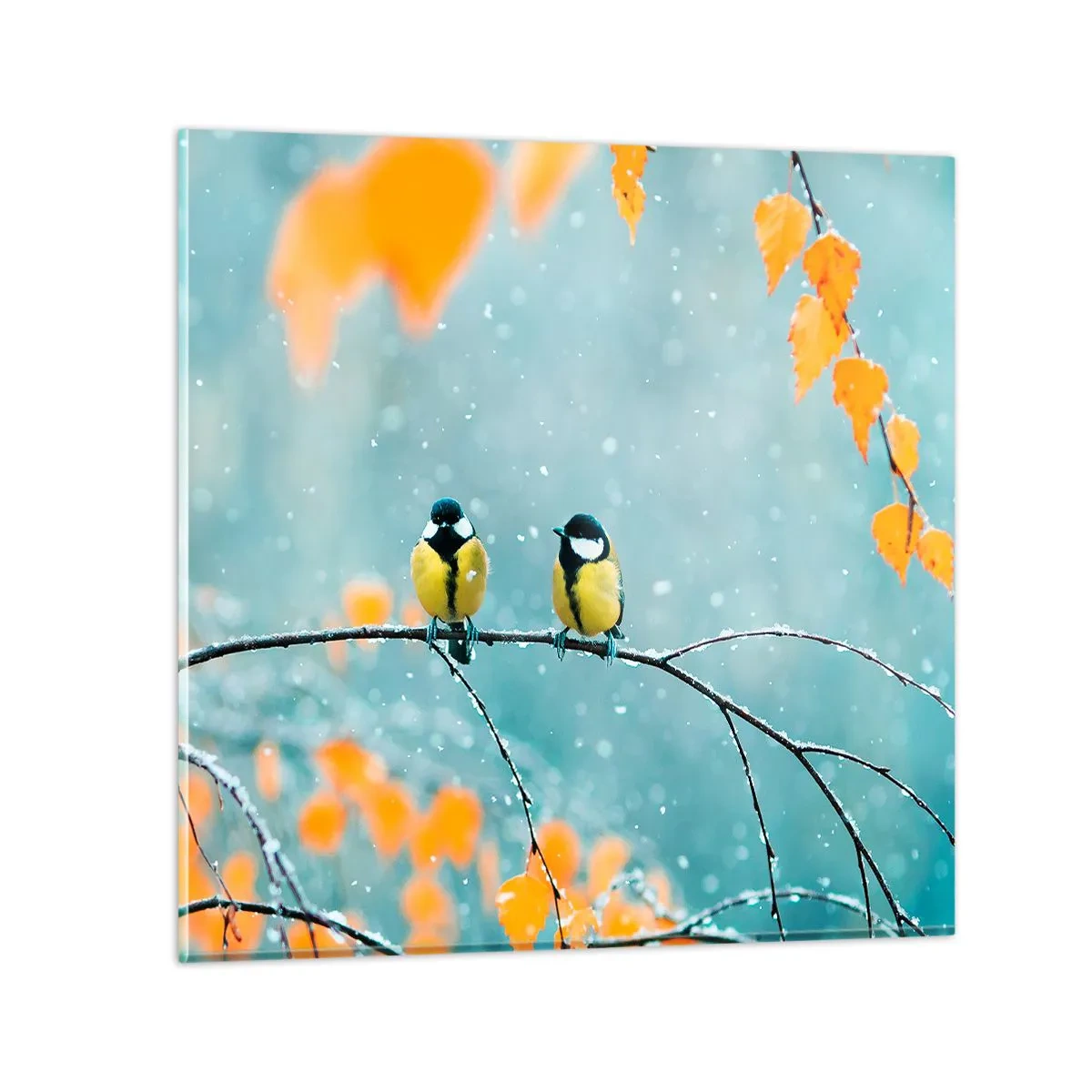 Obraz na skle - Ptačí drby - 60x60 cm