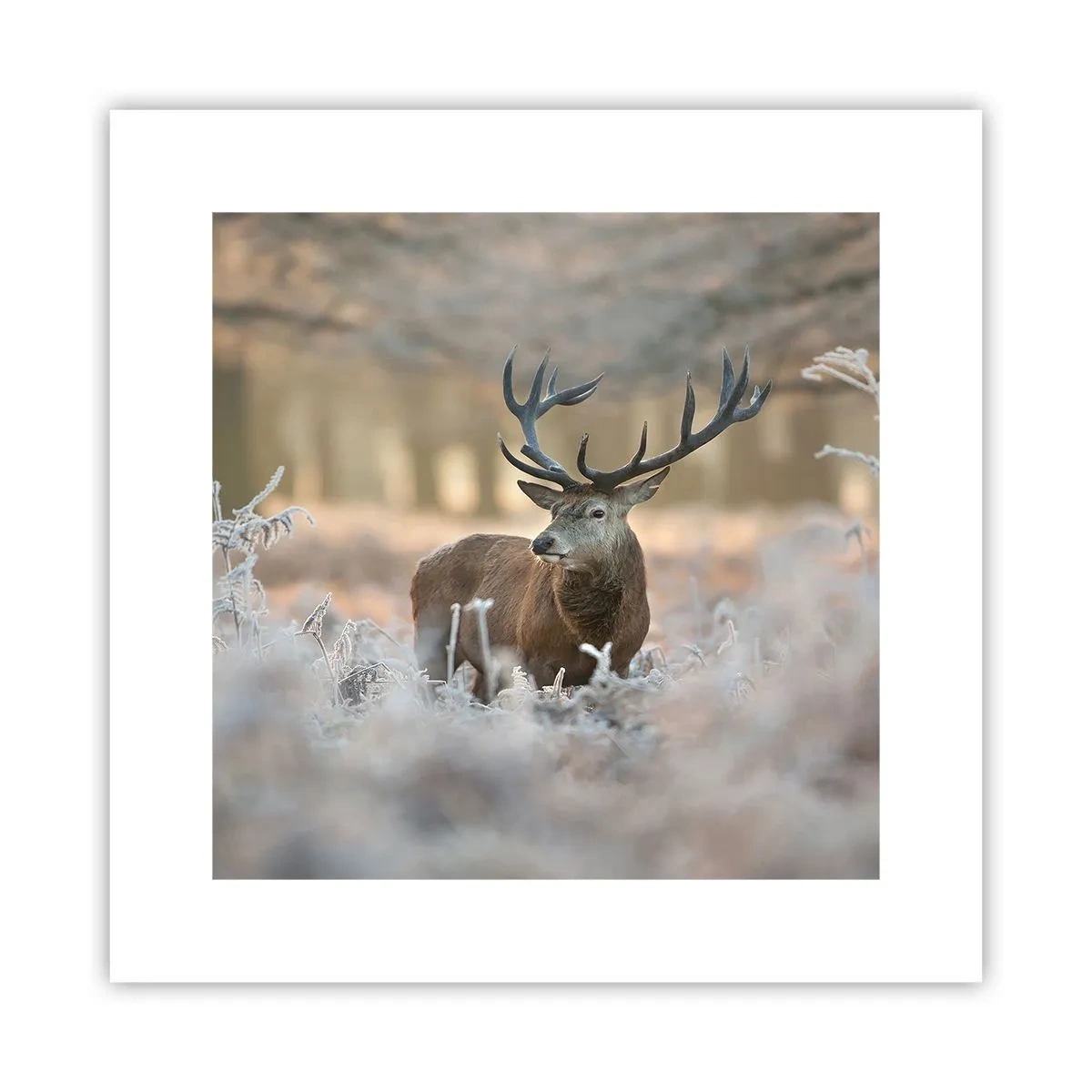 Plakát - Svěží ráno - 30x30 cm