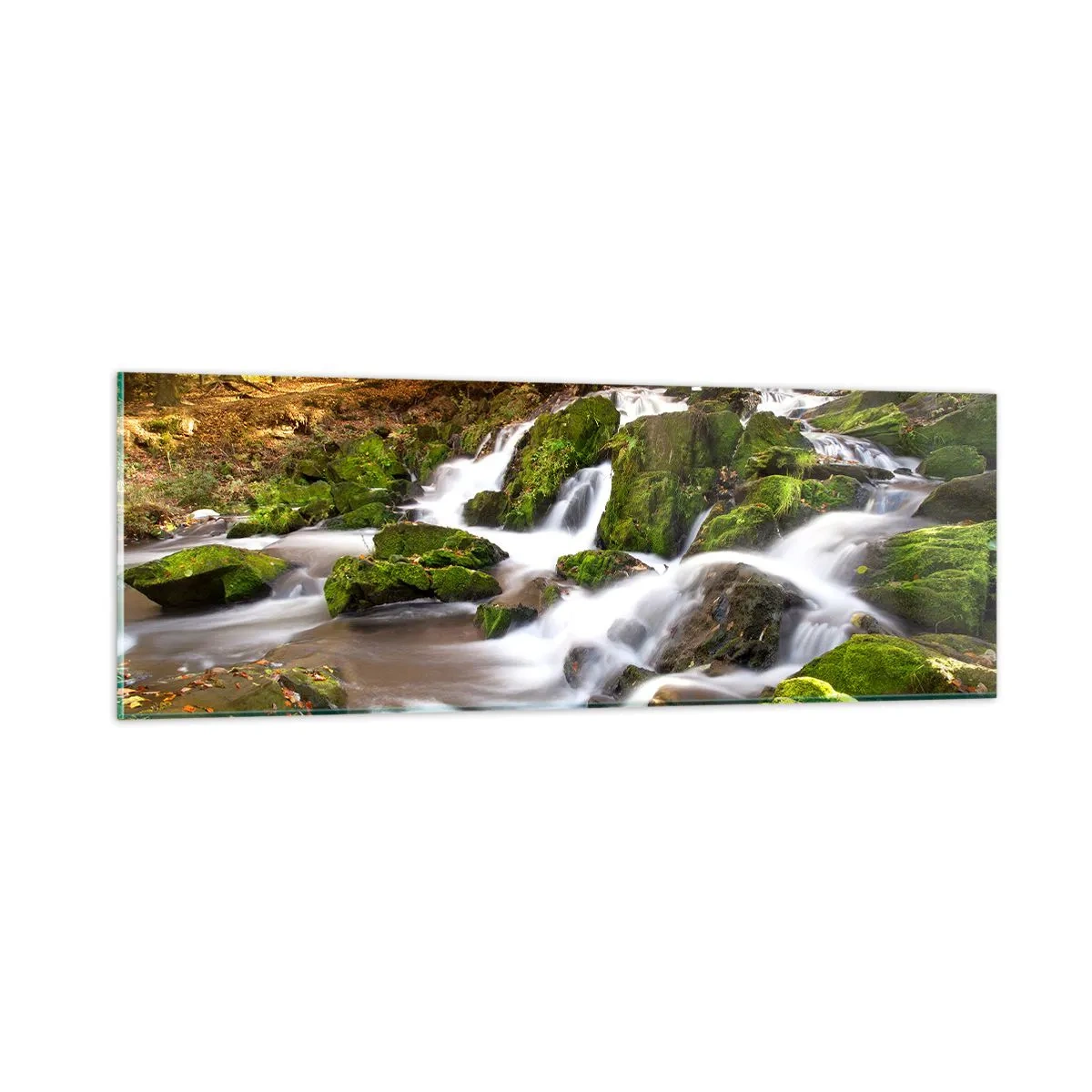 Obraz na skle - Chvatem podzimním lesem - 90x30 cm