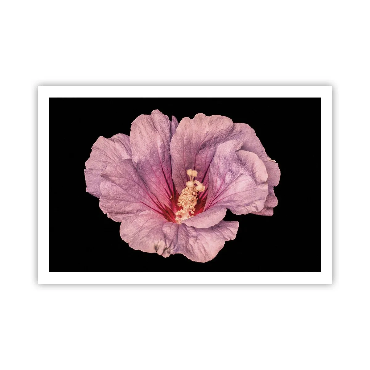 Plakát - Přímo do srdce - 91x61 cm