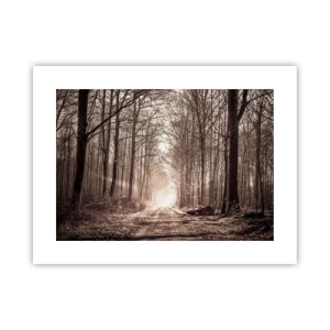 Plakát - Lesní katedrála - 40x30 cm