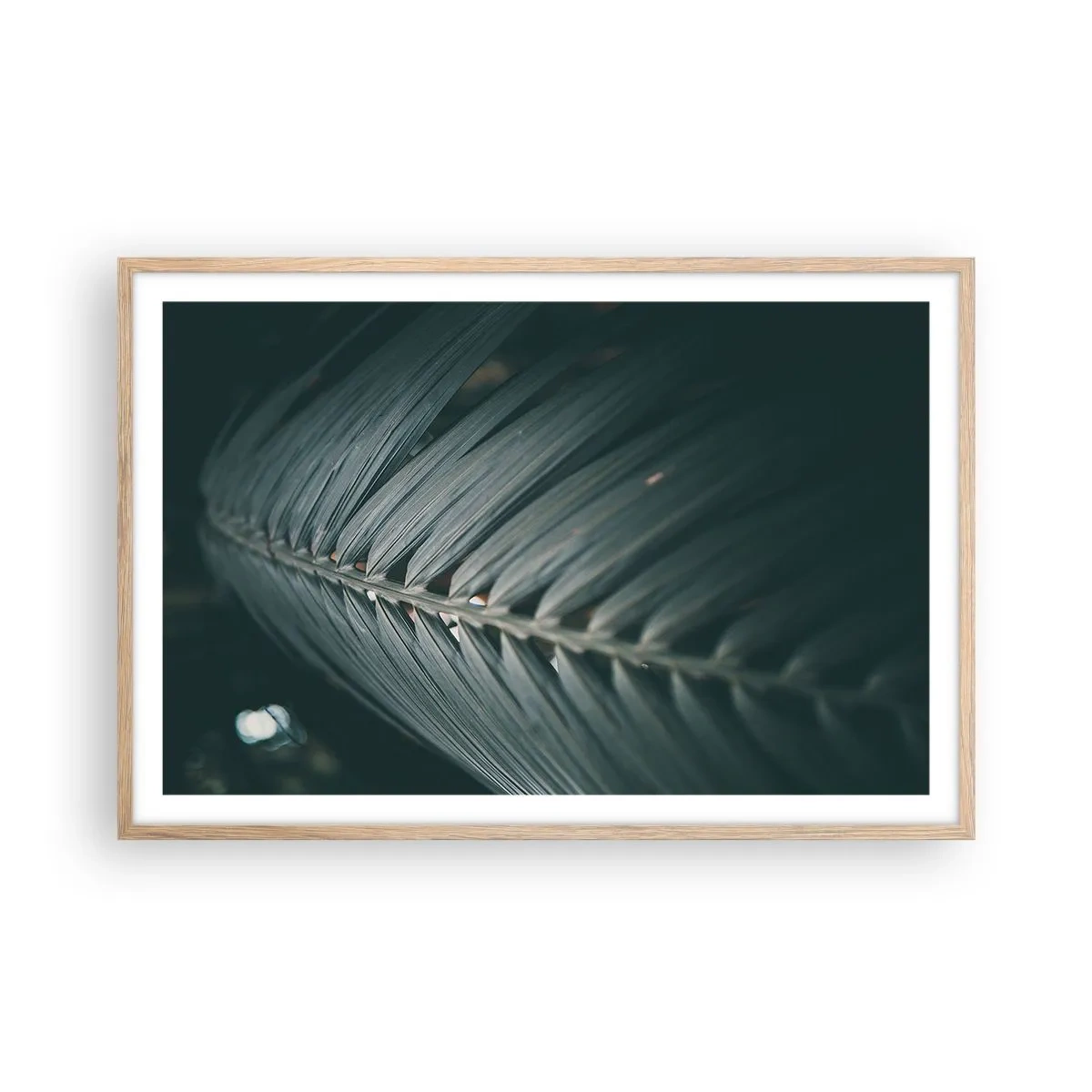 Plakát v rámu světlý dub - Přesnost přírody - 91x61 cm