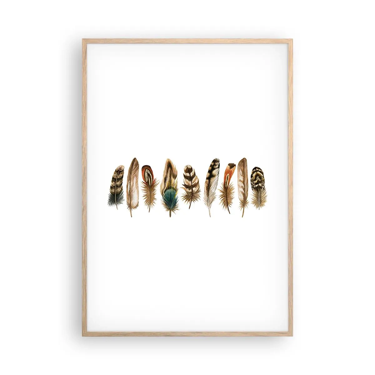 Plakát v rámu světlý dub - Opeřená variace - 70x100 cm