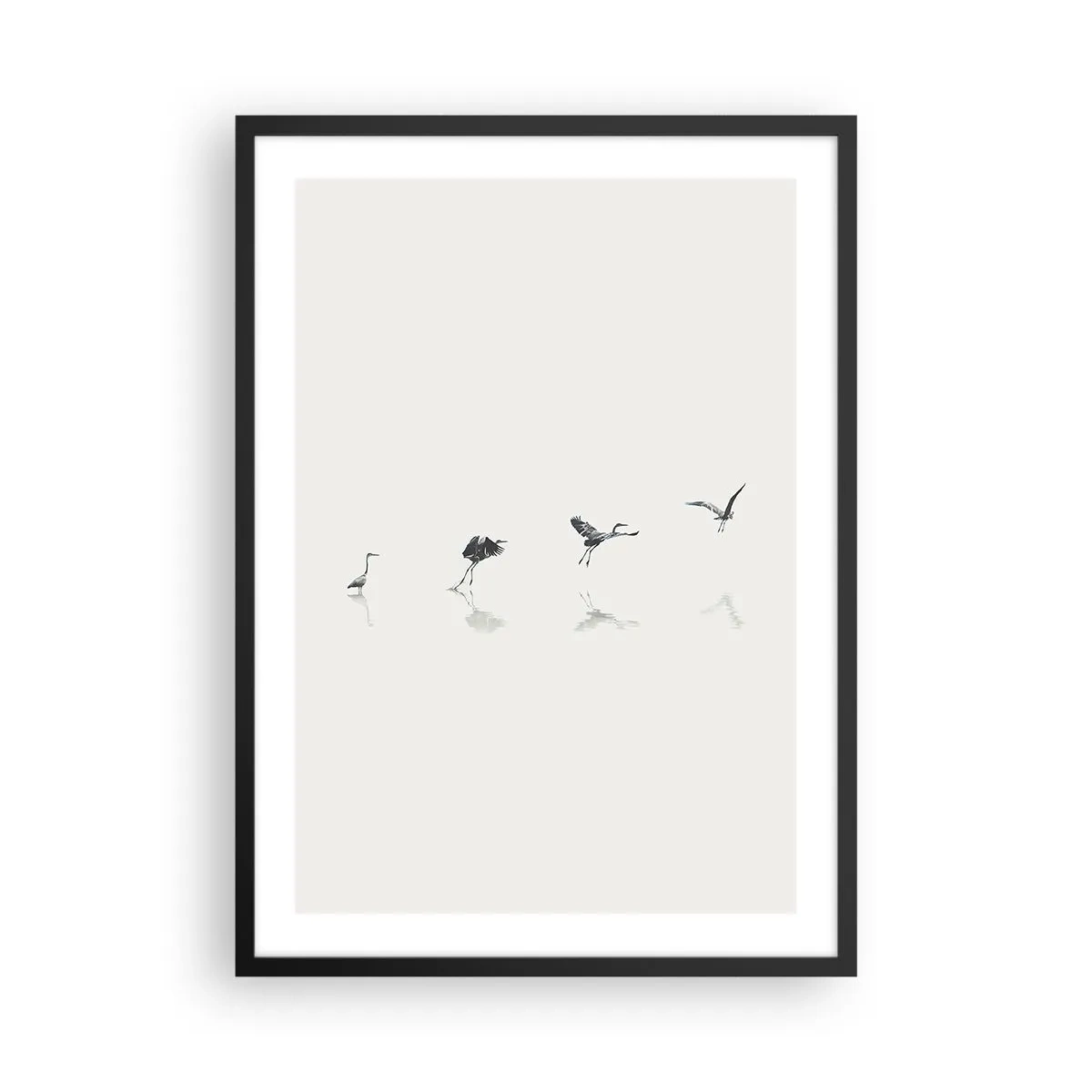Plakát v černém rámu - Minimalistická kompozice ptáků u vody - 50x70cm - Čtyři jednoduché kroky - Moderní nástěnná dekorace do obývacího pokoje a ložnice ARTTOR