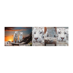 Vzor Fototapety Premium Canvas - Úplně jako v Narnii - Zvířata, Tygr, Západ slunce - 100x30 cm