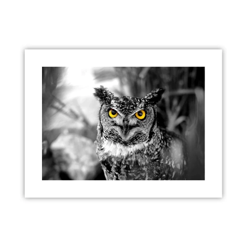 Plakát - Nic se neschová - 40x30 cm