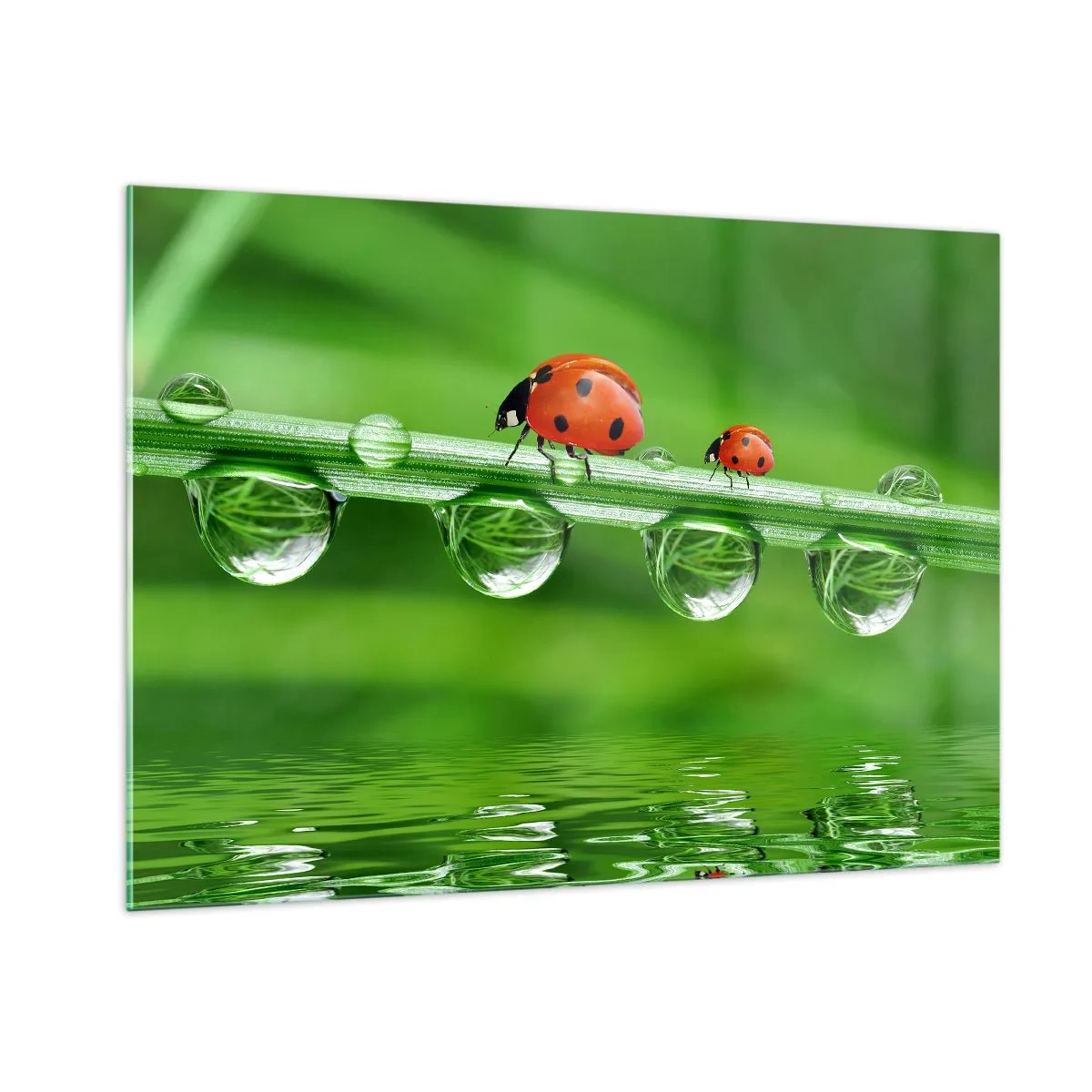 Obraz na skle - Na cestách celé léto - 100x70 cm