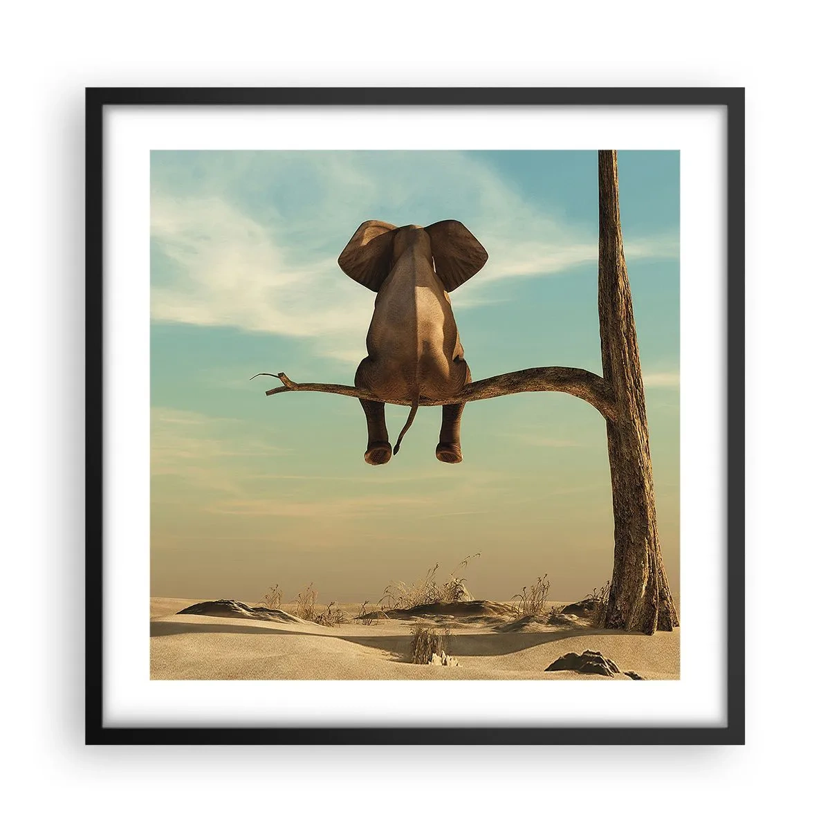 Plakát v černém rámu - Nový úhel pohledu - 50x50 cm