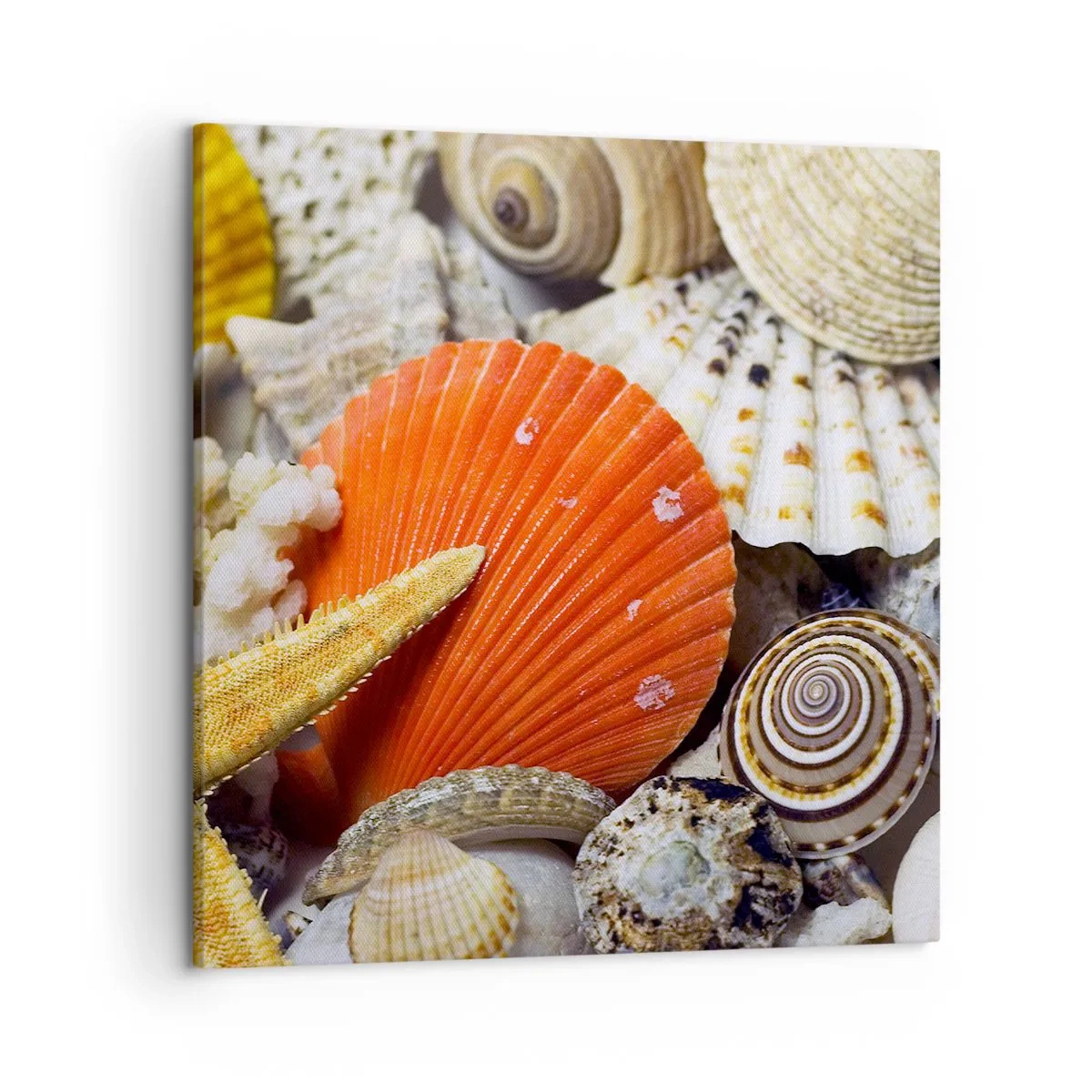 Obraz na plátně - Poklady oceánu - 50x50 cm