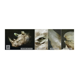 Vzor Fototapety Premium Canvas - Skutečně mužná síla - Abstrakce, Nosorožec, Zvířata - 100x30 cm
