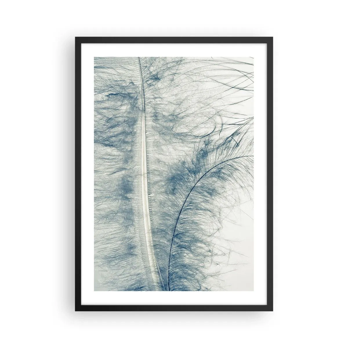 Plakát v černém rámu - Jemné pírko v jemných odstínech modré - 50x70cm - Šepot přírody - Moderní nástěnná dekorace do obývacího pokoje a ložnice ARTTOR