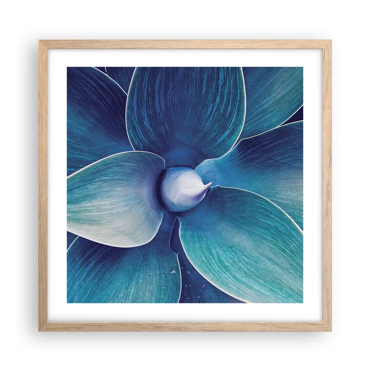 Plakát v rámu světlý dub - Namodralý od nebe - 50x50 cm