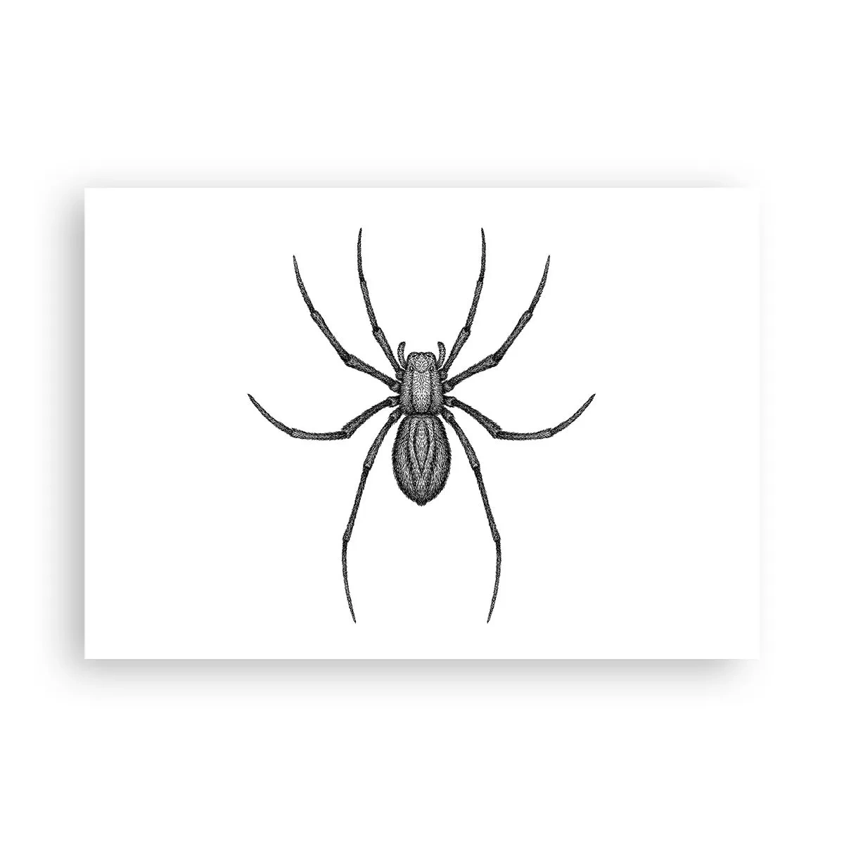 Plakát - Znepokojivá přesnost - 100x70 cm