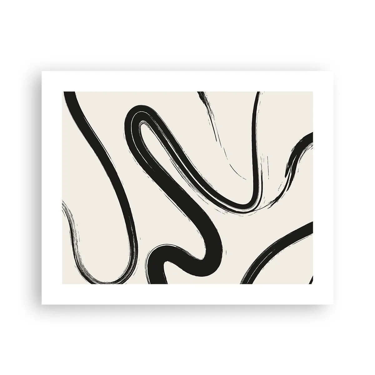 Plakát - Černobílý rozmar - 50x40 cm