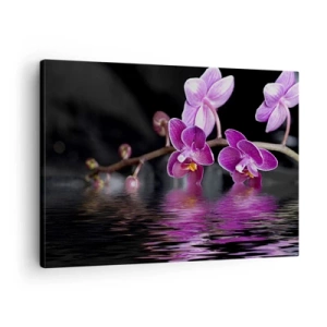 Obraz na plátně - Fialové orchideje nad klidnou vodou na černém pozadí - 70x50cm - Liliový odraz krásy - Moderní nástěnná dekorace do obývacího pokoje a ložnice ARTTOR