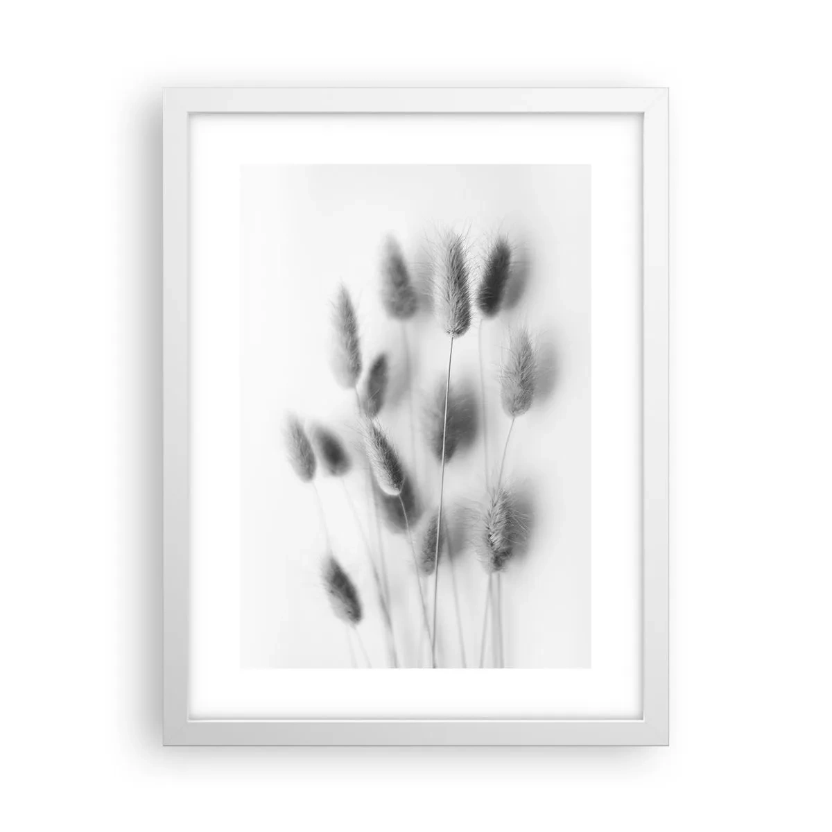 Plakát v bílém rámu - Její načechranost tráva - 30x40 cm