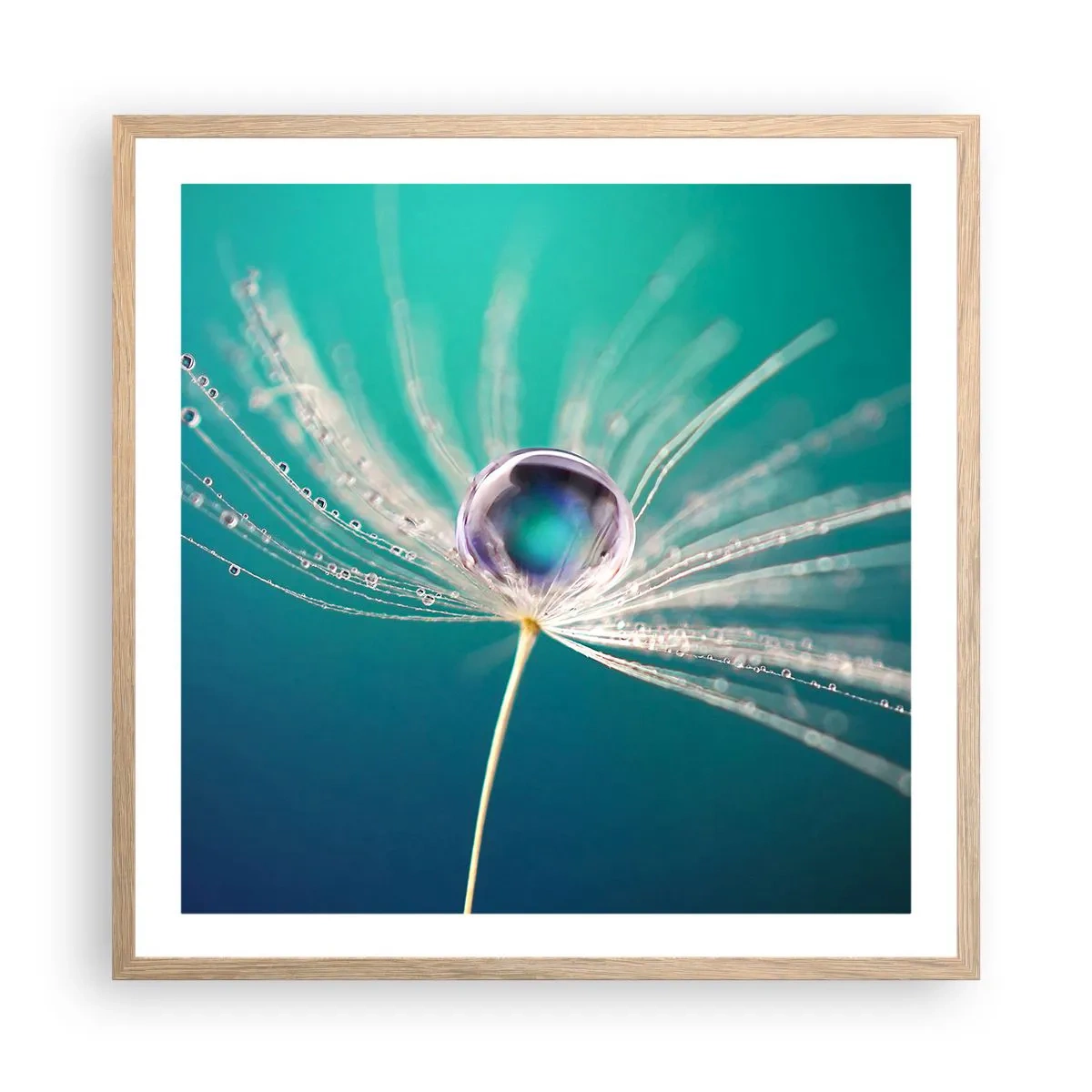 Plakát v rámu světlý dub - Mystický okamžik - 60x60 cm
