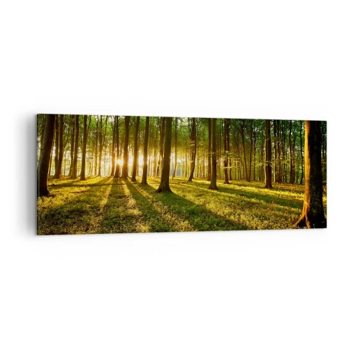Obraz na plátně - Fotografie všech jar - 140x50 cm