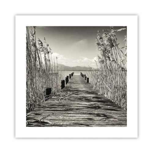 Plakát - V ústraní travin - 40x40 cm