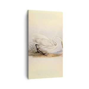 Obraz na plátně - Paní rákosin - 45x80 cm