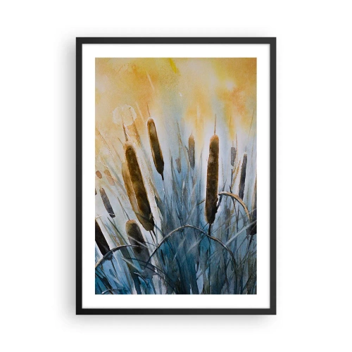 Plakát v černém rámu - Malířská kompozice rákosí v teplém světle - 50x70cm - Chlad vody, žár slunce - Moderní nástěnná dekorace do obývacího pokoje a ložnice ARTTOR