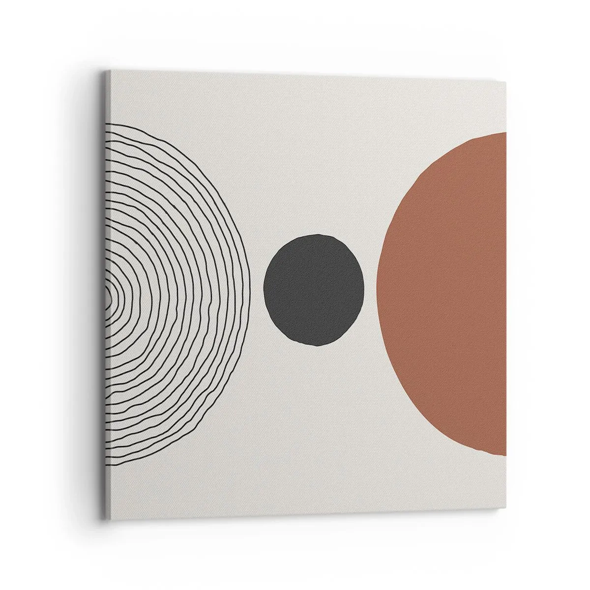 Obraz na plátně - V centru pozornosti - 70x70 cm