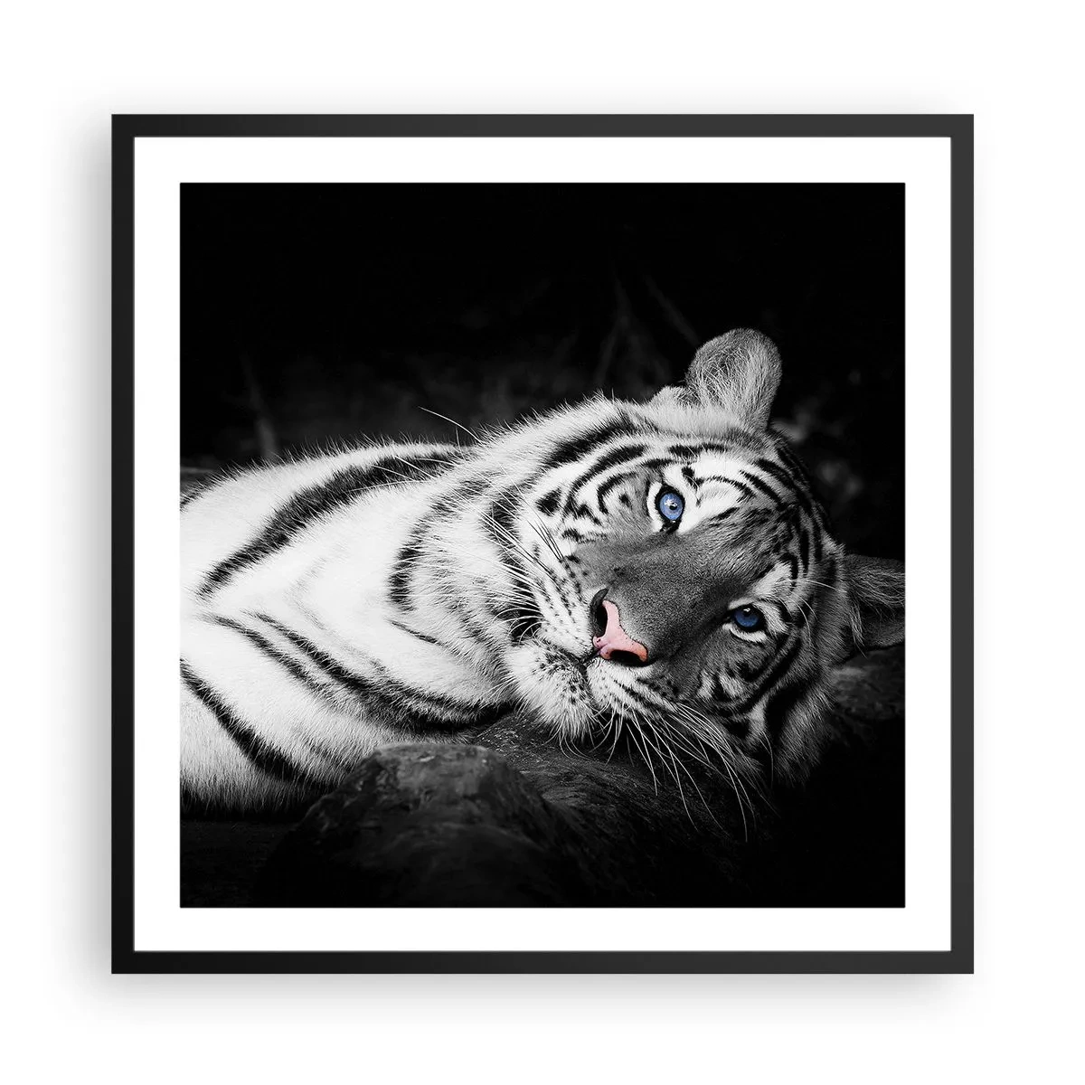 Plakát v černém rámu - Divočina a klid - 60x60 cm