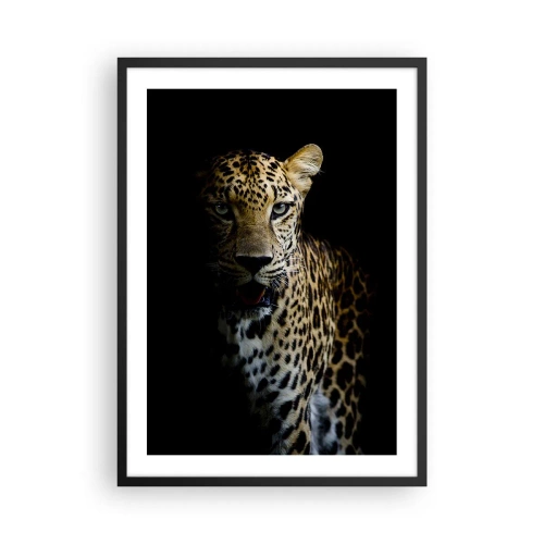 Plakát v černém rámu - Leopard na tmavém pozadí s živými detaily srsti. - 50x70cm - Temná krása - Moderní nástěnná dekorace do obývacího pokoje a ložnice ARTTOR
