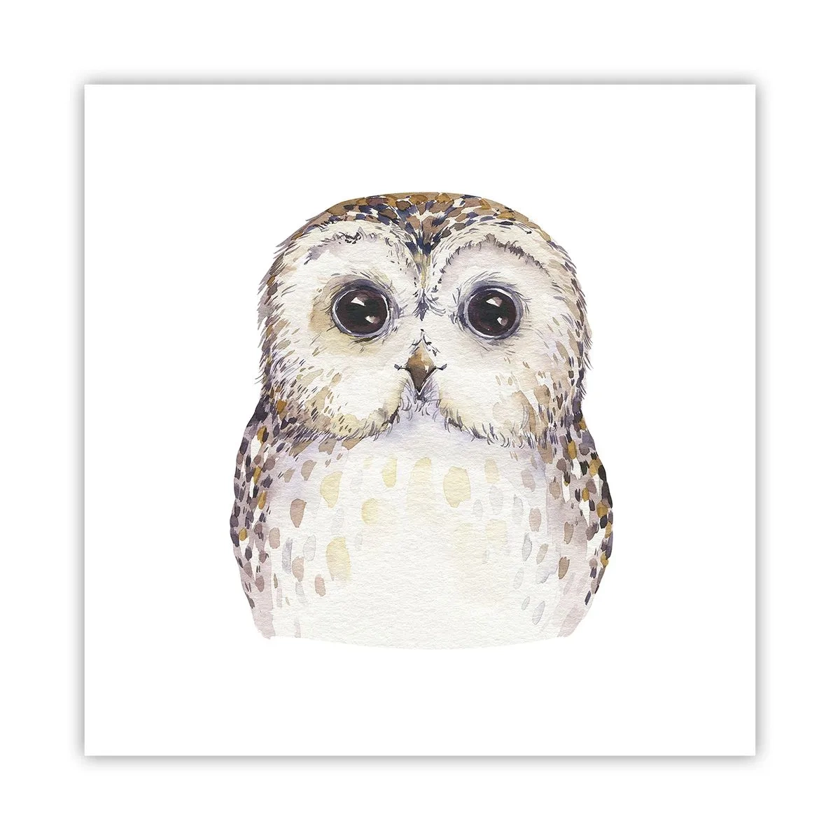 Plakát - Podívej se mi do očí - 60x60 cm