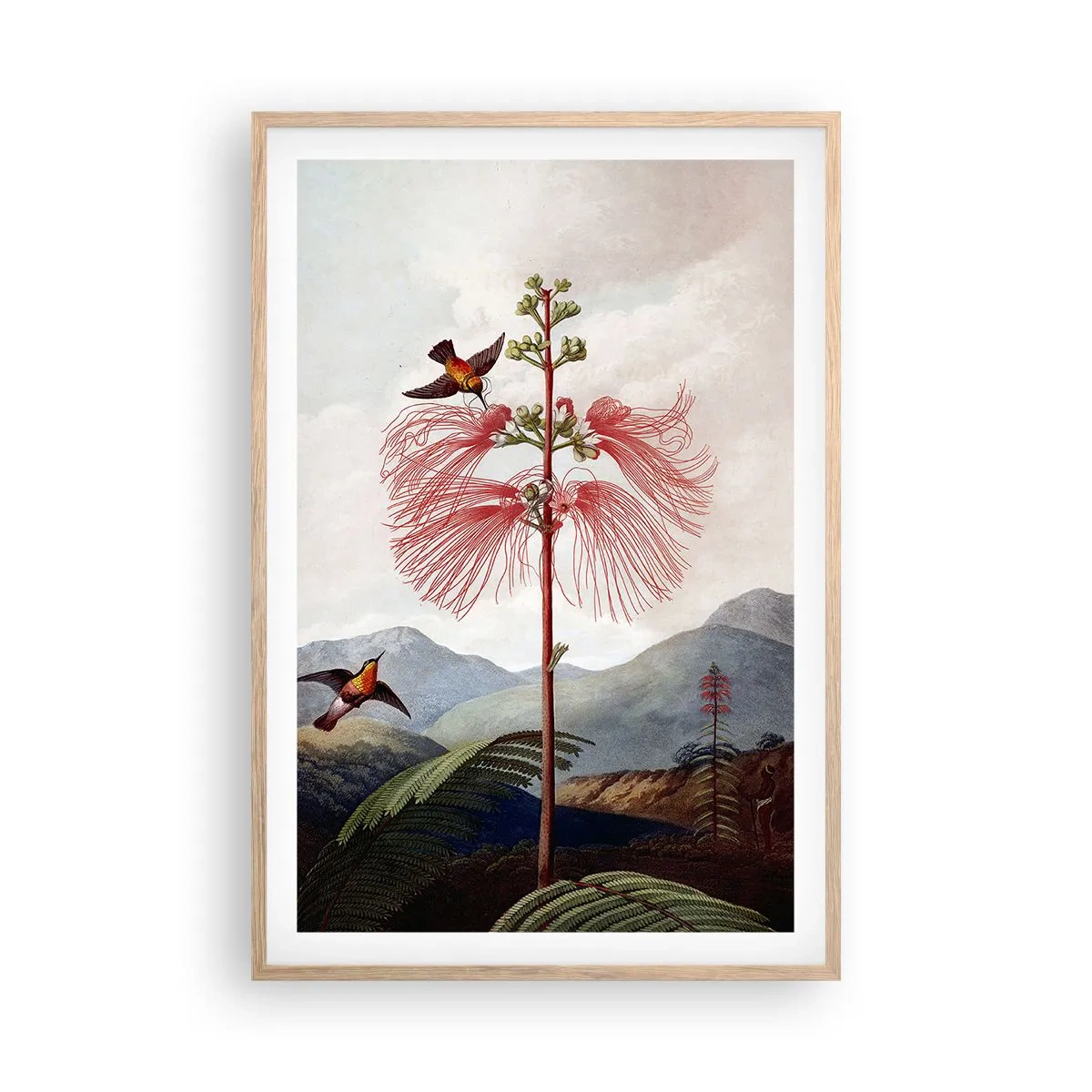 Plakát v rámu světlý dub - V tropickém ráji - 61x91 cm