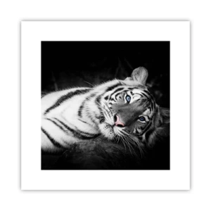 Plakát - Divočina a klid - 30x30 cm