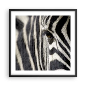 Plakát v černém rámu - Portrét s pruhy - 50x50 cm