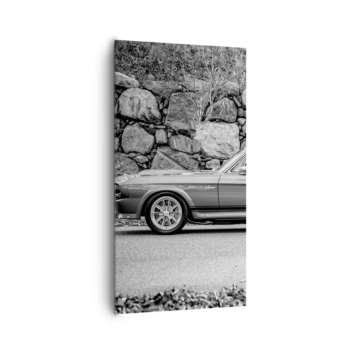 Obraz na plátně - Legenda 60. let - 65x120 cm