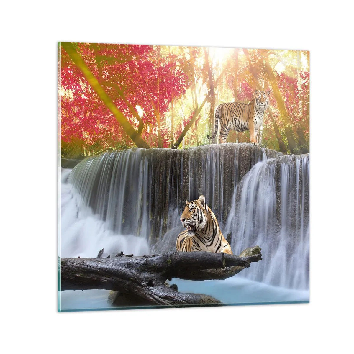 Obraz na skle - Surrealistická krajina    - 40x40 cm