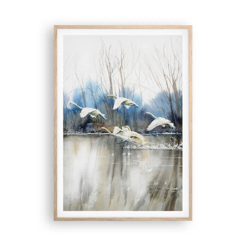 Plakát v rámu světlý dub - Jako v povídce o divokých labutích - 70x100 cm