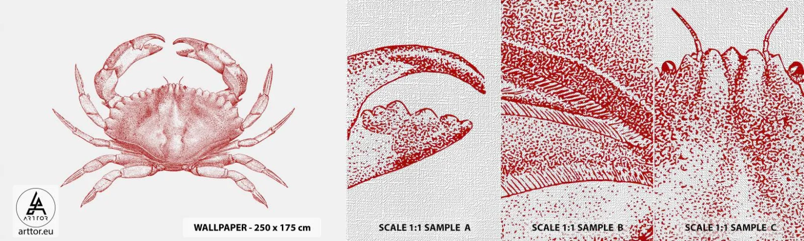 Vzor Fototapety Premium Canvas - Krab nad kraby - Krab, Plody moře, Korýši - 100x30 cm