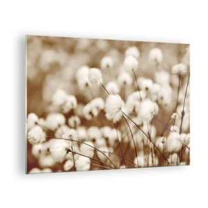 Obraz na skle - Pole nadýchané trávy v odstínech sépie - 70x50cm - Chlupatý lán - Moderní nástěnná dekorace do obývacího pokoje a ložnice ARTTOR