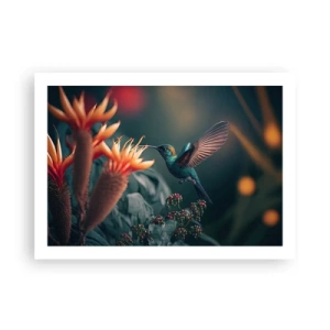 Plakát - Skutečně pestrý život - 70x50 cm
