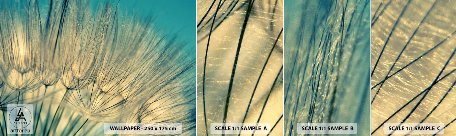 Fototapeta Vzorek Standard Eco - Čekání na vítr - Pampeliška, Louka, Příroda - 100x30 cm