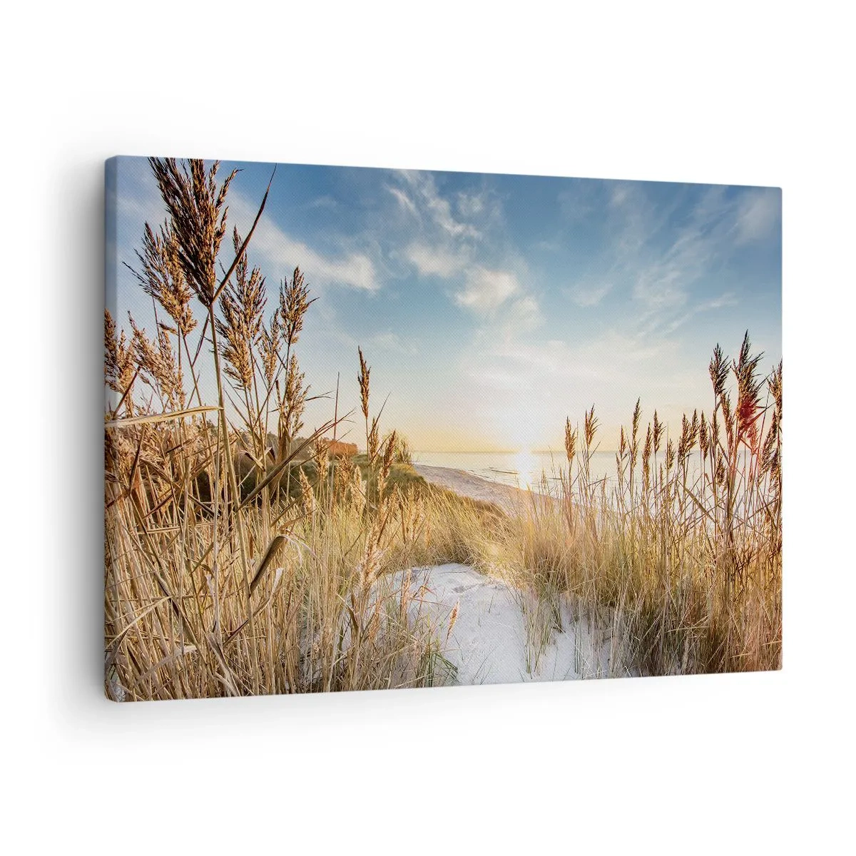 Obraz na plátně - Malebná pláž s trávou a zapadajícím sluncem - 70x50cm - Severní pláž - Moderní nástěnná dekorace do obývacího pokoje a ložnice ARTTOR