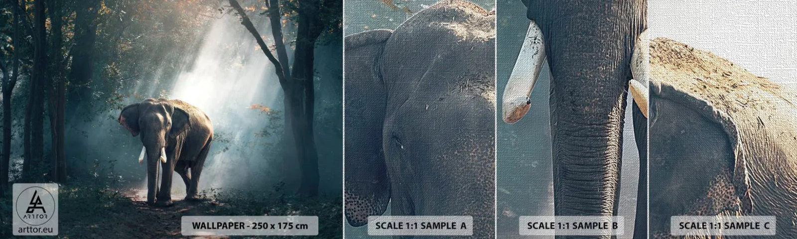 Vzor Fototapety Premium Canvas - Klidná procházka - Zvířata, Slon, Džungle - 100x30 cm