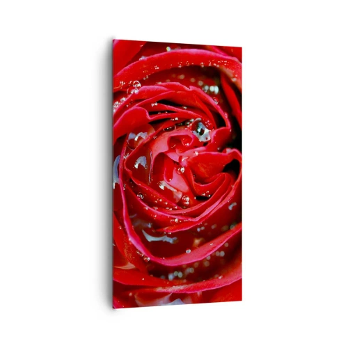 Obraz na plátně - V kapkách rosy - 65x120 cm