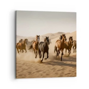 Obraz na plátně - Volné jako vítr - 70x70 cm