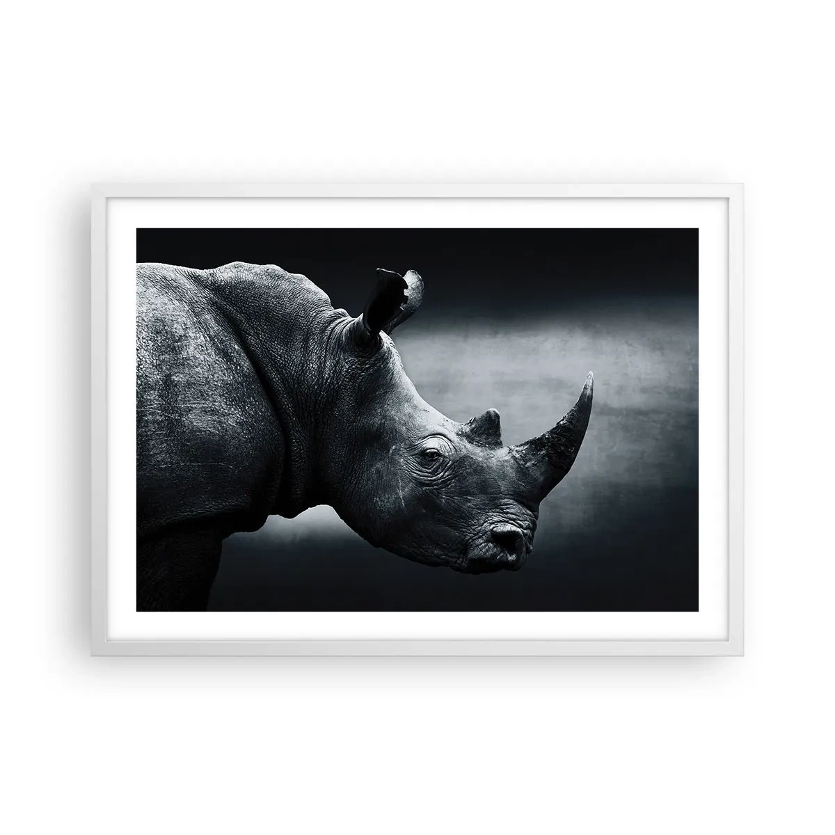 Plakát v bílém rámu - Pravý profil - 70x50 cm