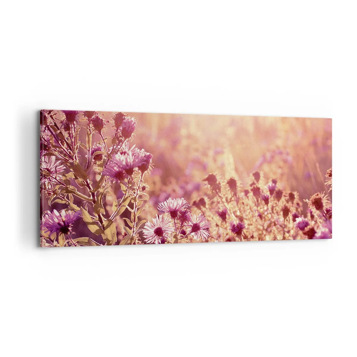Obraz na plátně - Než skončí léto - 100x40 cm