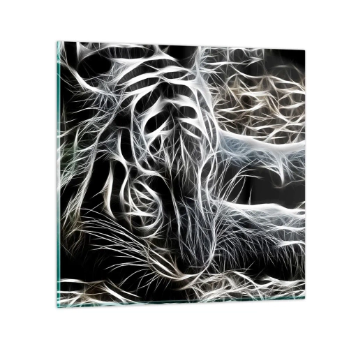 Obraz na skle - Studie kočičí lehkosti - 40x40 cm