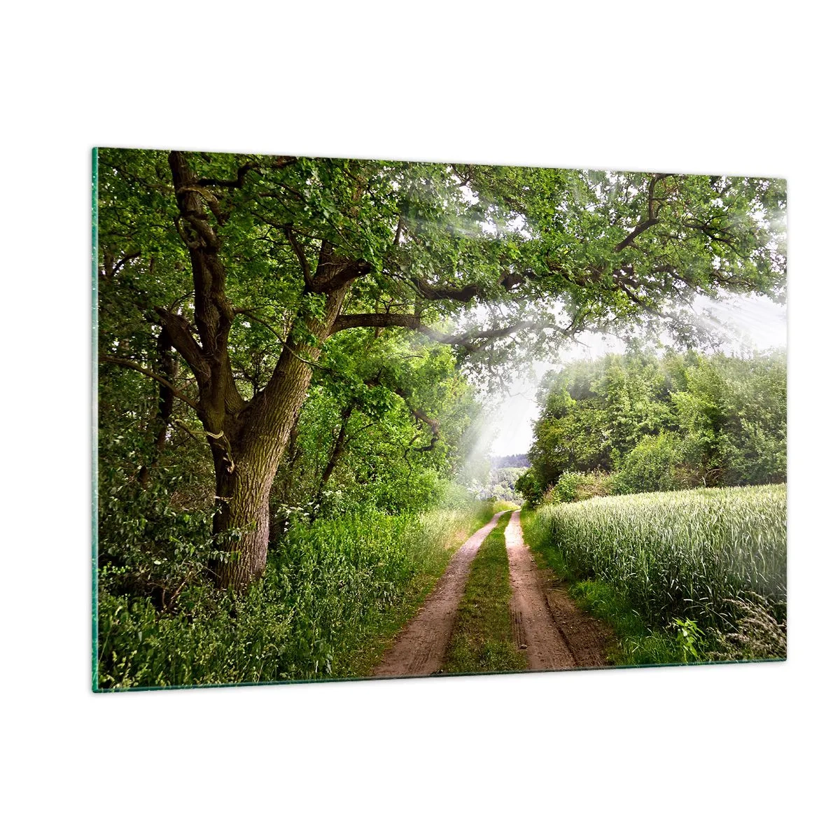 Obraz na skle - Et in Arcadia ego - 120x80 cm