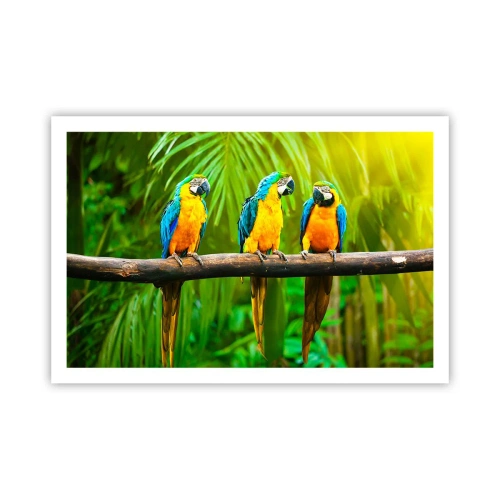 Plakát - Slyšela jsi, že ona…? - 91x61 cm